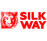 Шёлковый путь автогонки